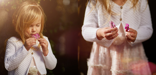 Similar image 12036927