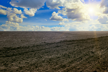 Similar image 12036580