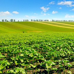 Similar image 12036581