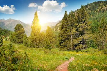 Similar image 12036586