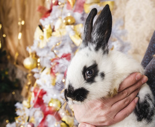 Similar image 11967481