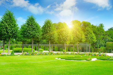 Similar image 12036502