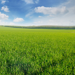 Similar image 12036503