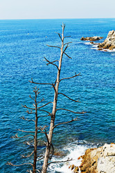 Similar image 11969308