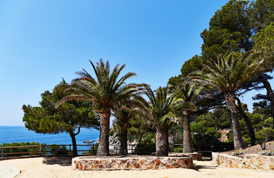 Similar image 11969314