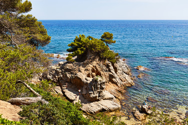 Similar image 11969317