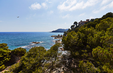 Similar image 11969318