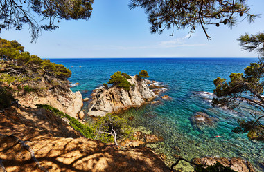 Similar image 11969319