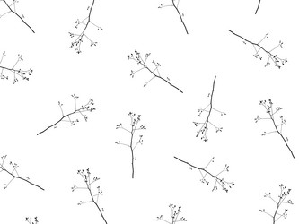 Similar image 12037247