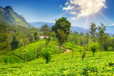 Similar image 12036588