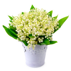 Similar image 12036593