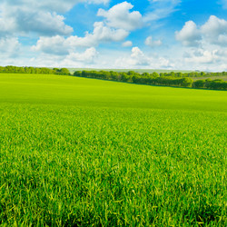 Similar image 12036520