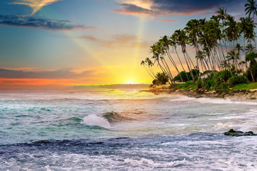 Similar image 12036521