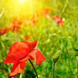 Similar image 12036523