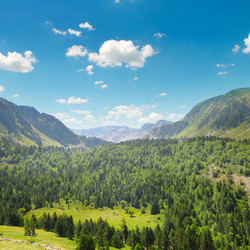 Similar image 12036524