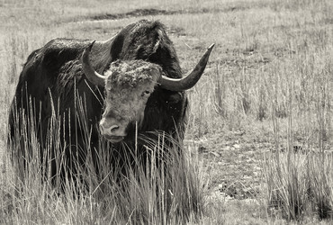 Similar image 11967484