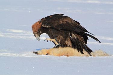 Similar image 11967485