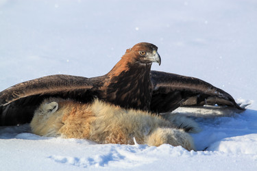 Similar image 11967486