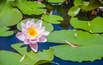 Similar image 11967454