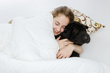 Similar image 12038839