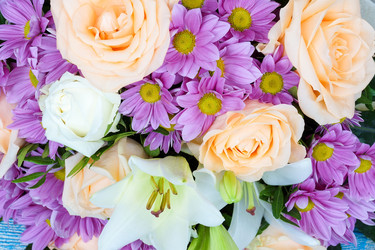 Similar image 11967524