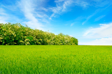 Similar image 12036600