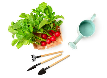 Similar image 12036603