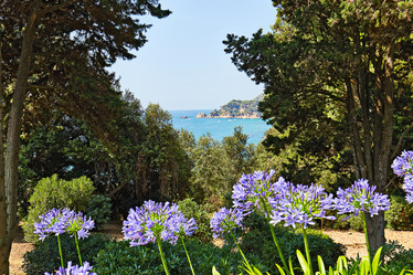 Similar image 11969320