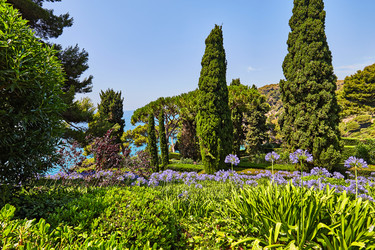 Similar image 11969323