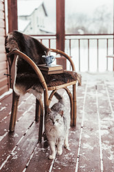 Similar image 11969648