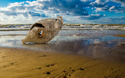 Similar image 12036945