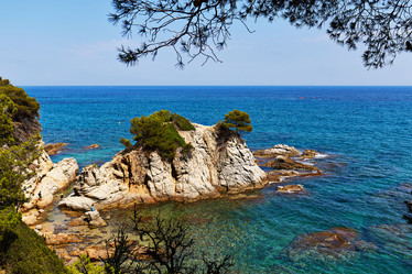 Similar image 11969533