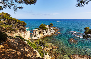 Similar image 11969534