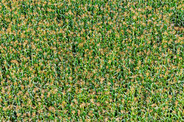 Similar image 11969536