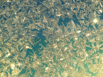 Similar image 12037273