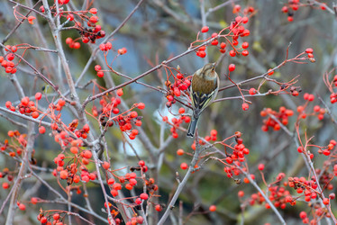 Similar image 12035980