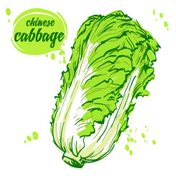 Similar image 12036476