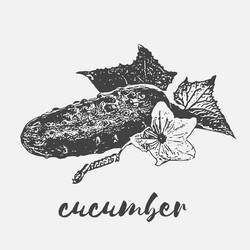 Similar image 12036479