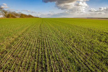 Similar image 12036819