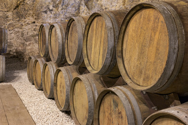 Similar image 12036884