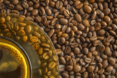 Similar image 12036885