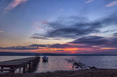 Similar image 12036888