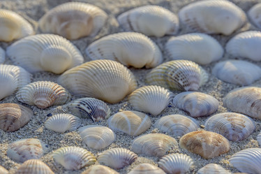 Similar image 12037065