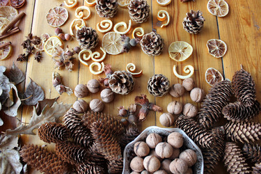 Similar image 12037883