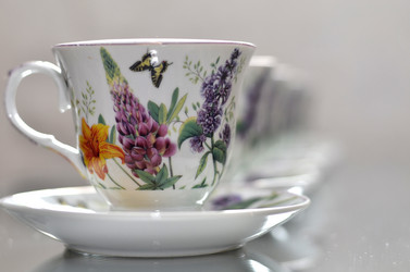 Similar image 12037888