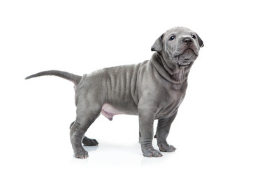 Similar image 12038873