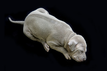 Similar image 12038949