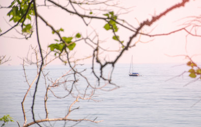 Similar image 12038568