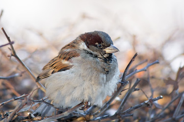 Similar image 12039121