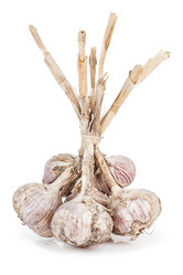 Similar image 12217628